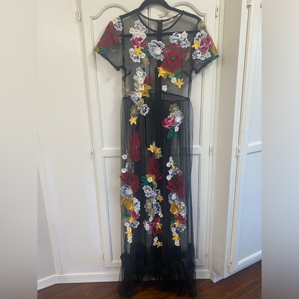 STUNNING sheer dress